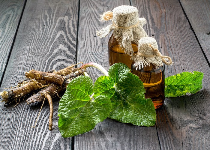 huiles-essentielles-aromatherapie-pharmacie-du-centre-marquise-rinxent