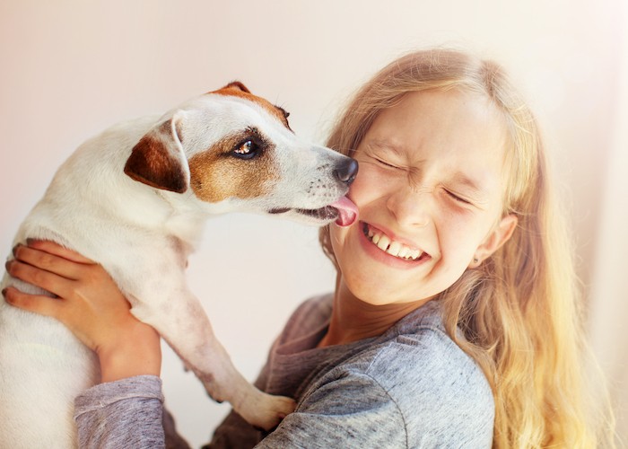 produits-veterinaires-pharmacie-du-centre-marquise-rinxent