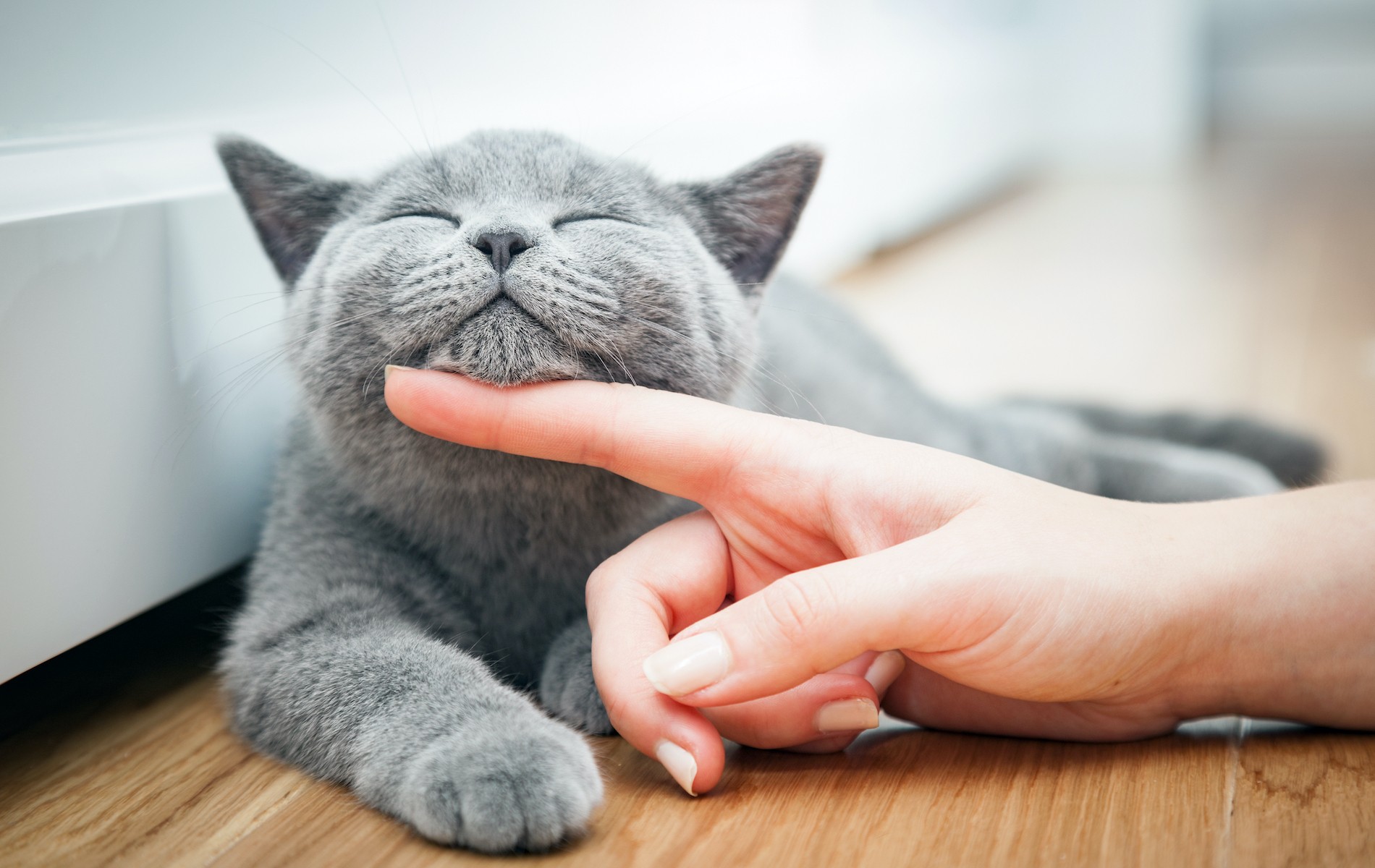 slider-produits-veterinaires-pharmacie-du-centre-marquise-rinxent